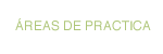 areas de practica